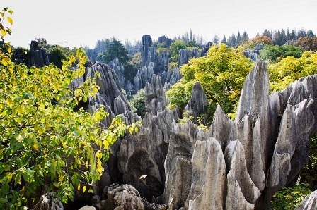 Du ngoạn rừng đá - 6 An Tử